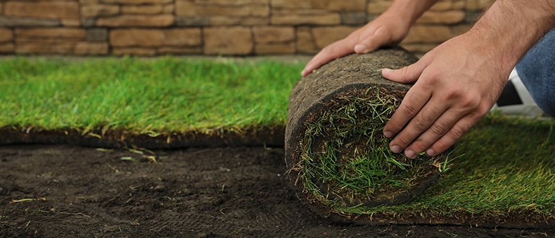 How to Set Up Sod