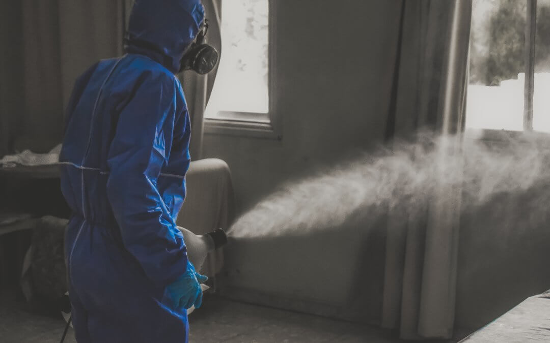 Fogging Your Home For Sanitizaion